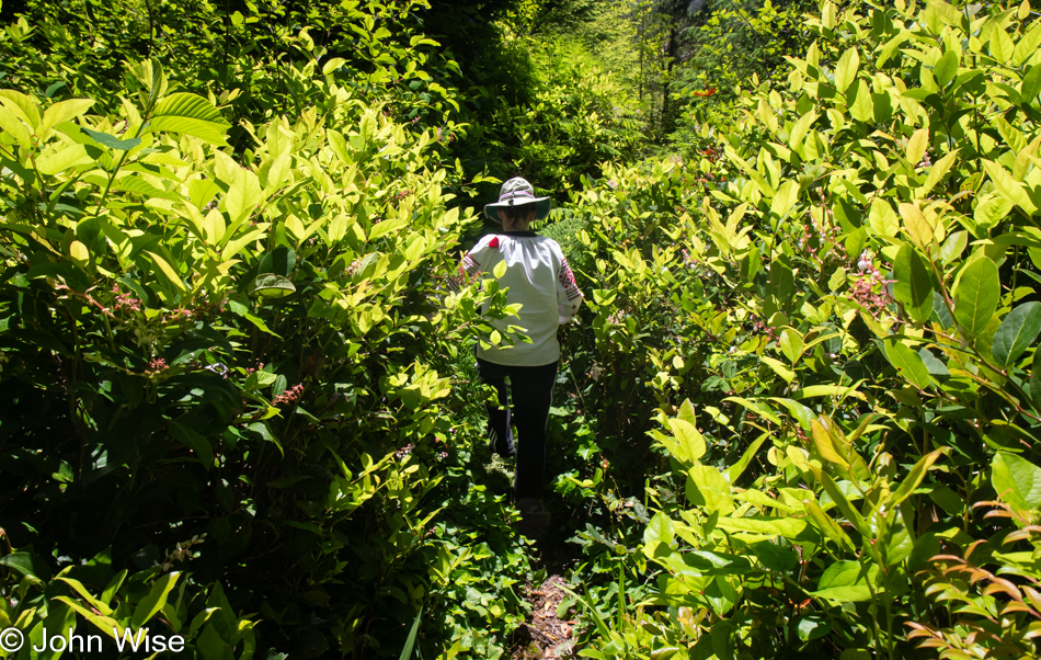 Caroline Wise on a small nature trail in Depoe Bay, Oregon