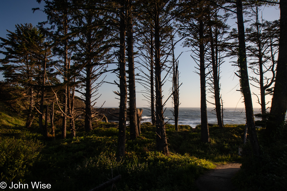 Otter Rock Marine Garden in Otter Rock, Oregon