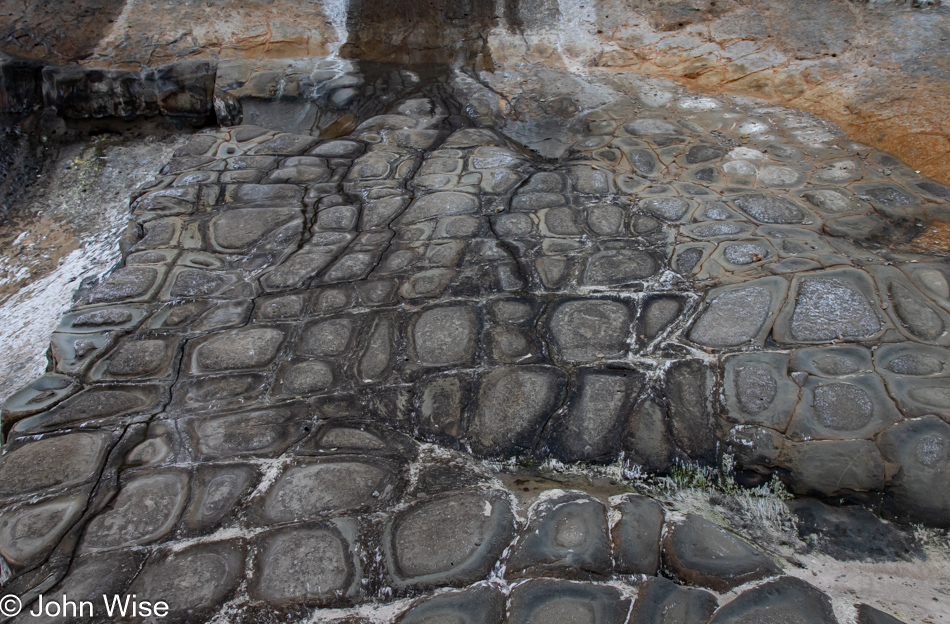 Columnar jointed lava at Wade Creek Beach in Newport, Oregon