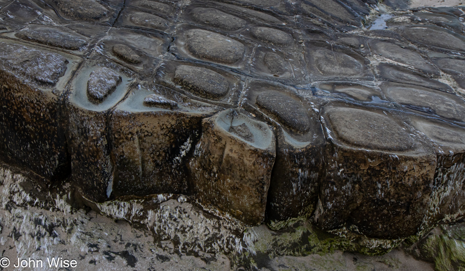 Columnar jointed lava at Wade Creek Beach in Newport, Oregon