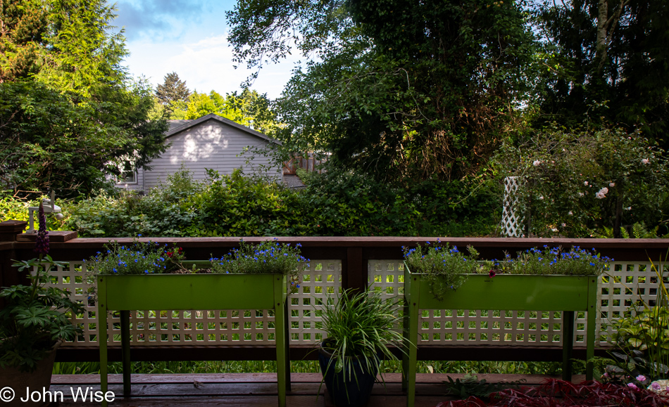 View from our kitchen window in Depoe Bay, Oregon