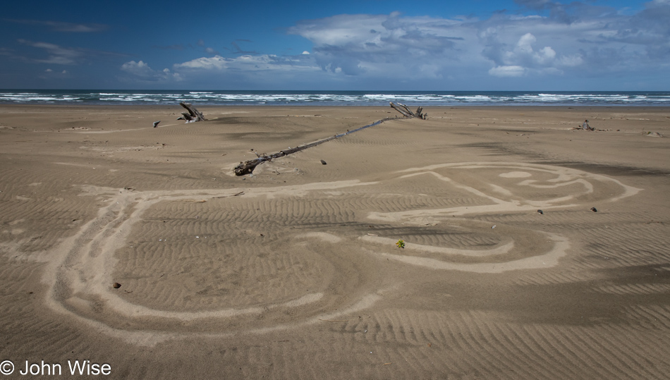 Penis sand art on Nye Beach in Newport, Oregon