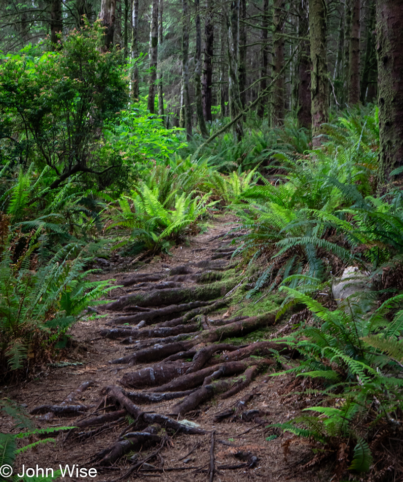 Amanda's Trail in Yachats, Oregon