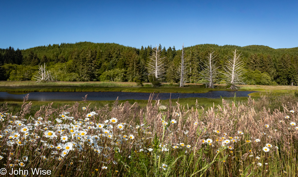 Siletz Highway in Lincoln City, Oregon