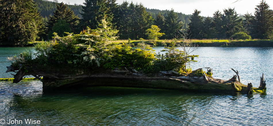 Siletz Highway in Lincoln City, Oregon