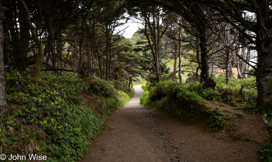 Wade Creek on Moolack Beach in Newport, Oregon