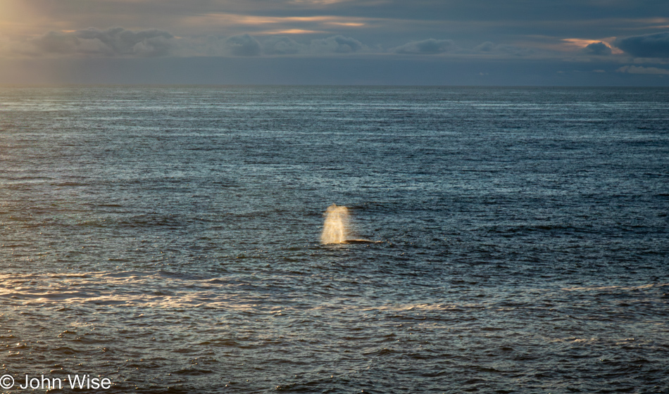 Whale spout at Boiler Bay in Depoe Bay, Oregon