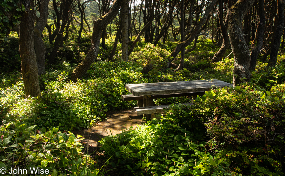 Seal Rock State Recreation Site in Seal Rock, Oregon