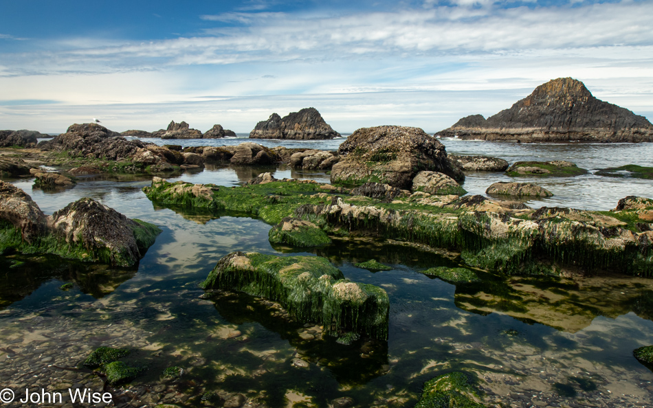 Tide Pools at Seal Rock State Recreation Site in Seal Rock, Oregon