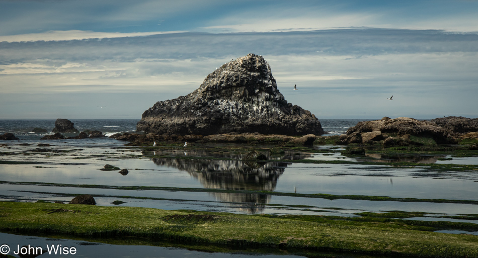 Tide Pools at Seal Rock State Recreation Site in Seal Rock, Oregon