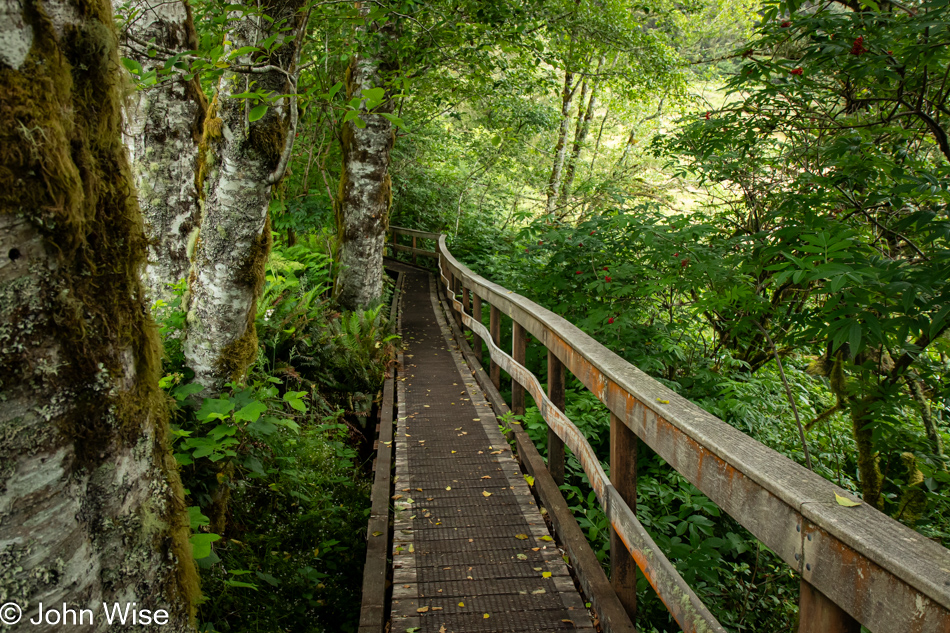 Lower Cascade Head Trail in Otis, Oregon