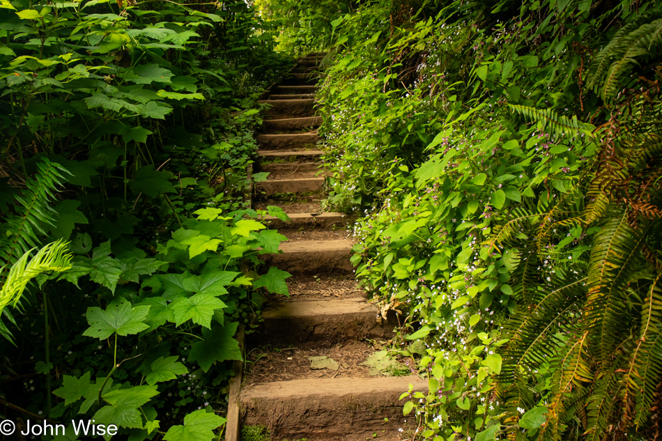 Lower Cascade Head Trail in Otis, Oregon