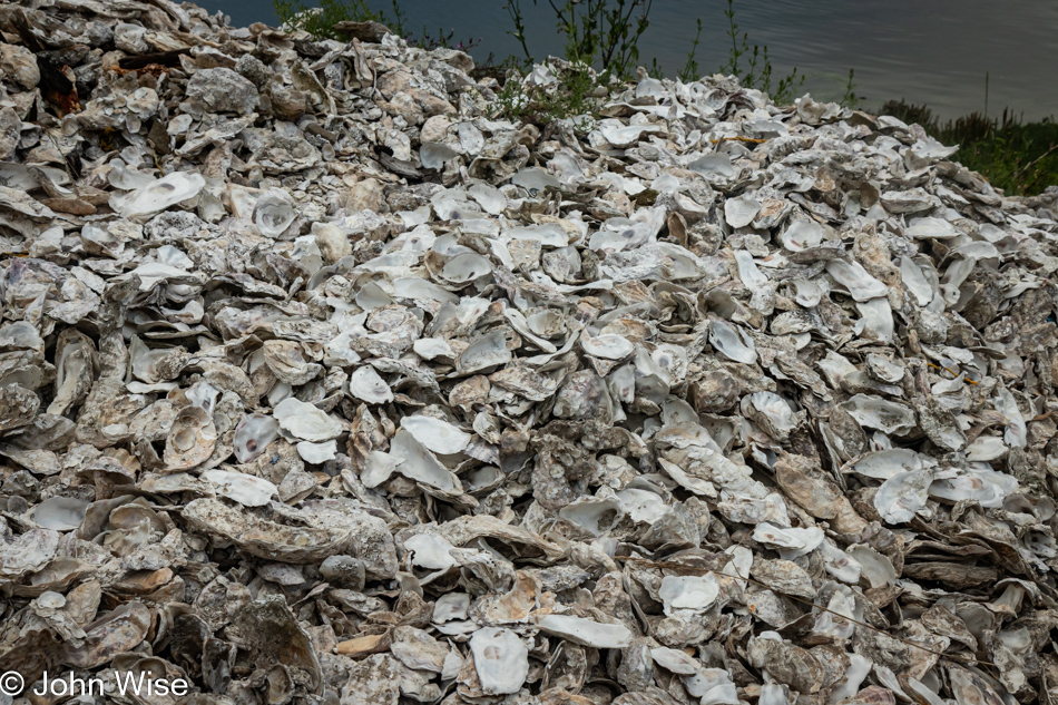 Oregon Oyster Farm in Newport, Oregon