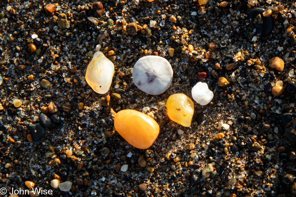 Agates and tiny Sand Dollars on Gleneden Beach in Lincoln Beach, Oregon