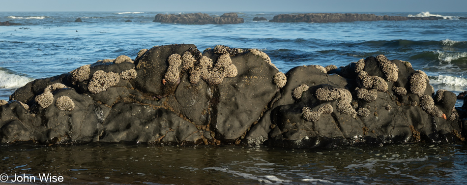 North Fogarty Creek Beach in Depoe Bay, Oregon