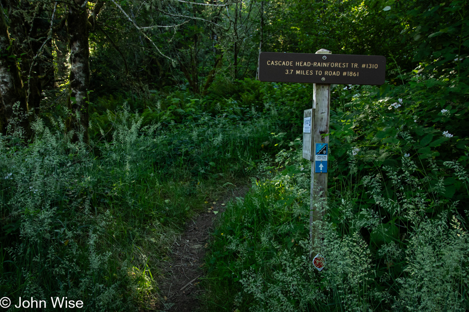 Cascade Head Rainforest Trail in Otis, Oregon