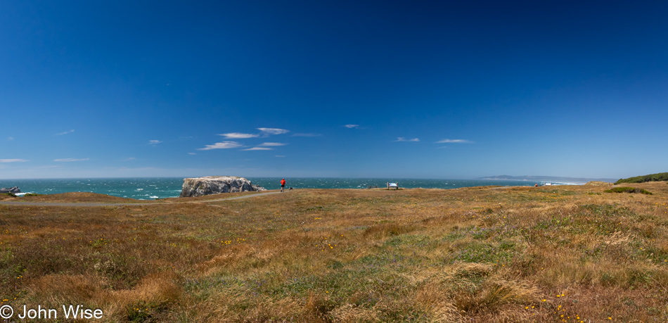 Oregon Islands National Wildlife Refuge in Bandon, Oregon