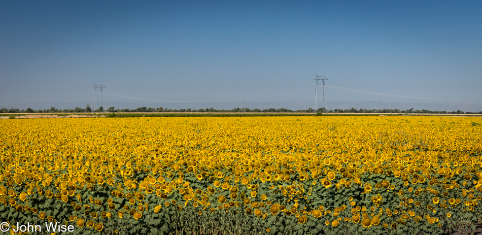 California Route 20 going east in the Central Valley