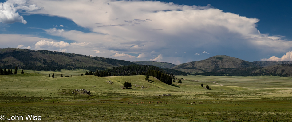 Valles Caldera National Preserve in Jemez Springs, New Mexico