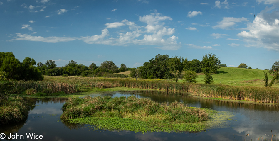 Wetlands near Lake Morris in Chariton, Iowa