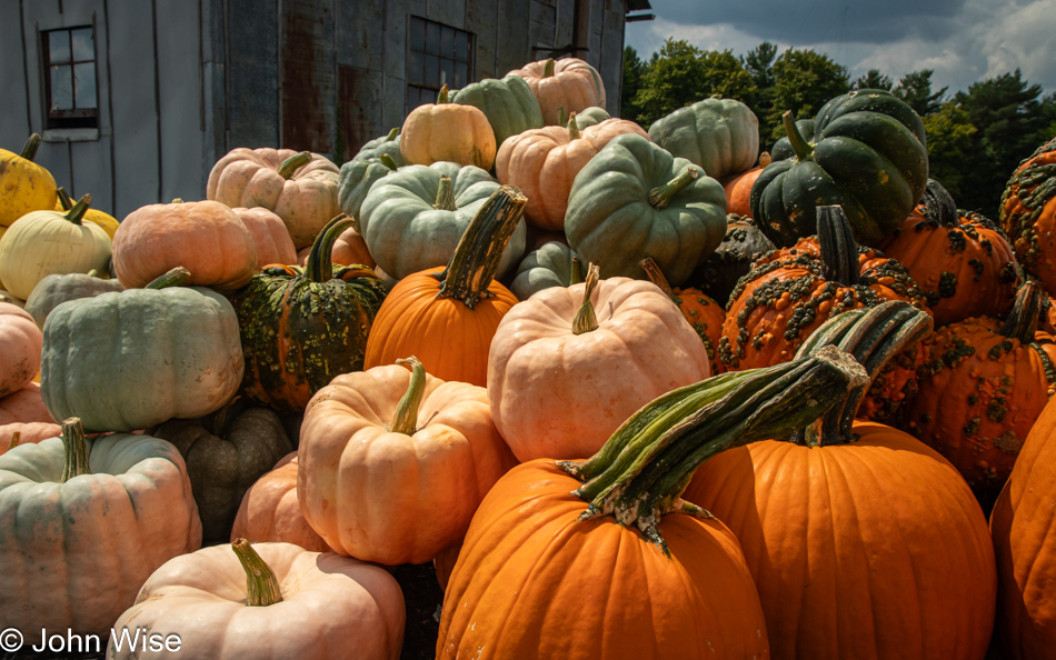 Pumpkins at an Amish farm on County Road 700 in Polk, Ohio