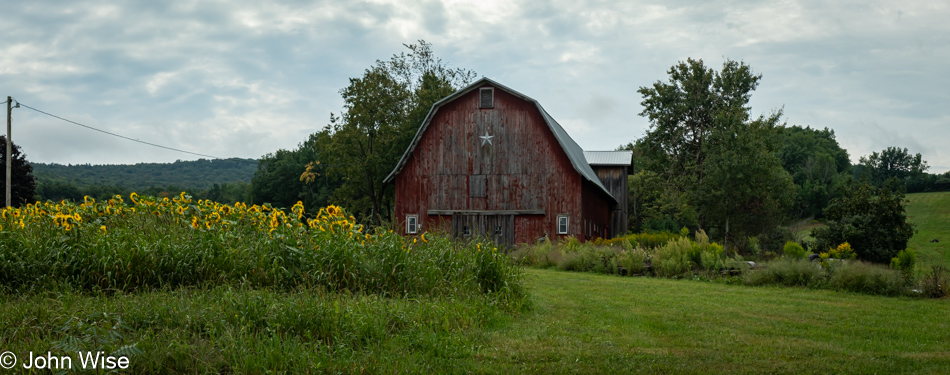 Barn in Little Valley, New York on Route 242