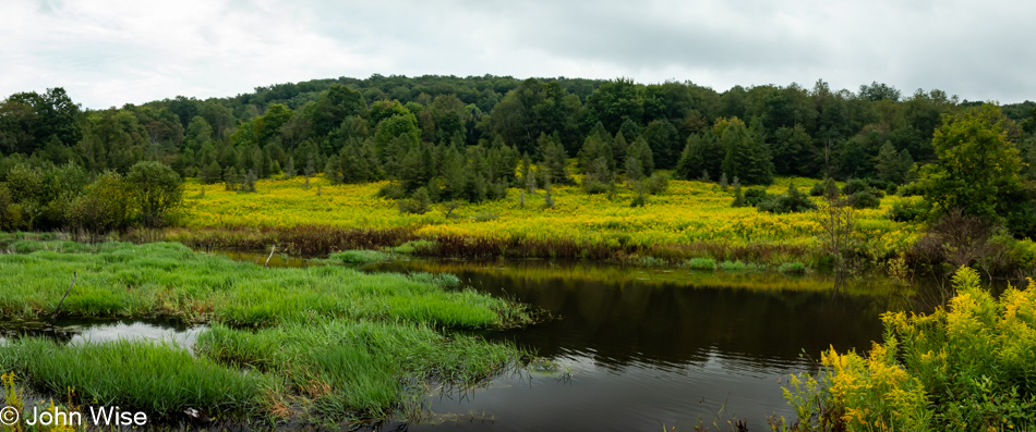 On Toad Hollow Road in Little Valley, New York