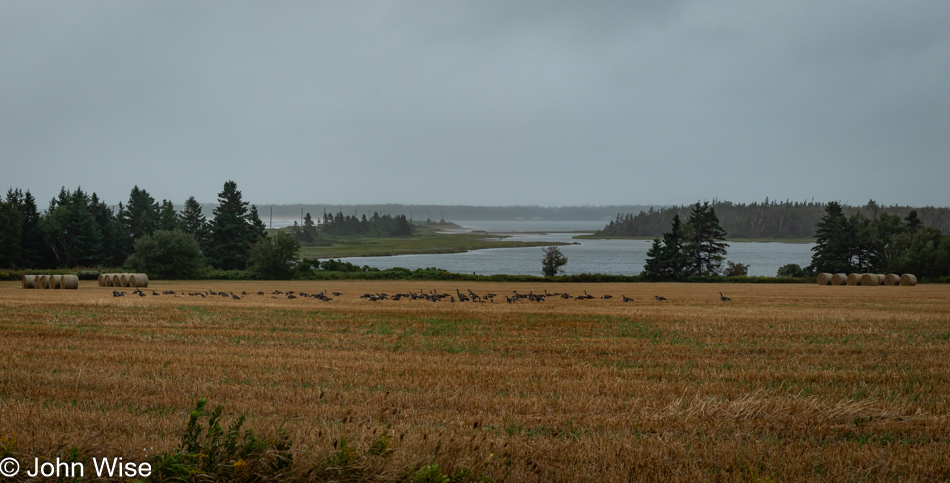 Panmure Island, Prince Edward Island, Canada