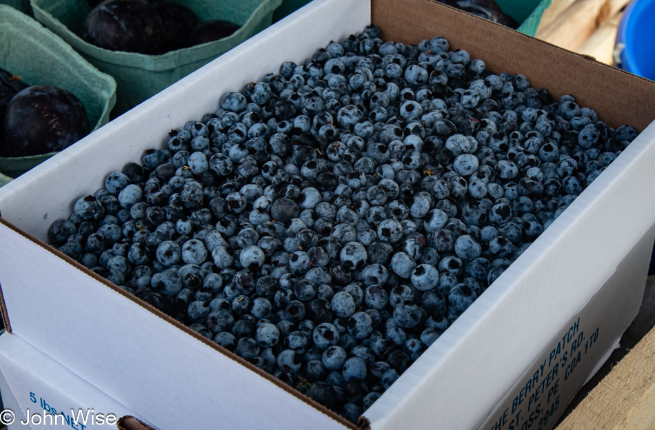 Blueberries from Awesome Veggie Stand in Cymbria, Prince Edward Island, Canada