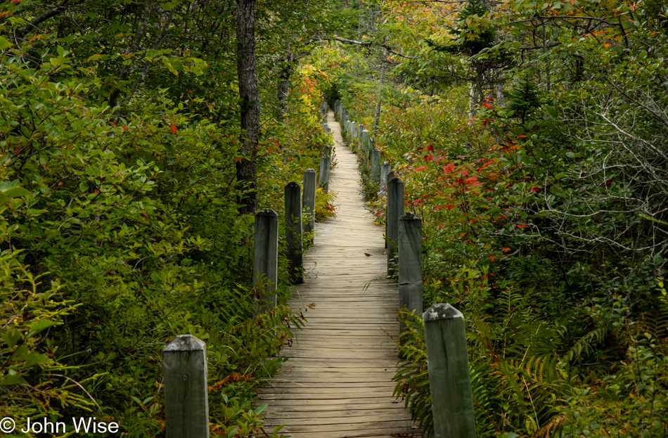 Balancing Rock Trail in Tiverton, Nova Scotia, Canada