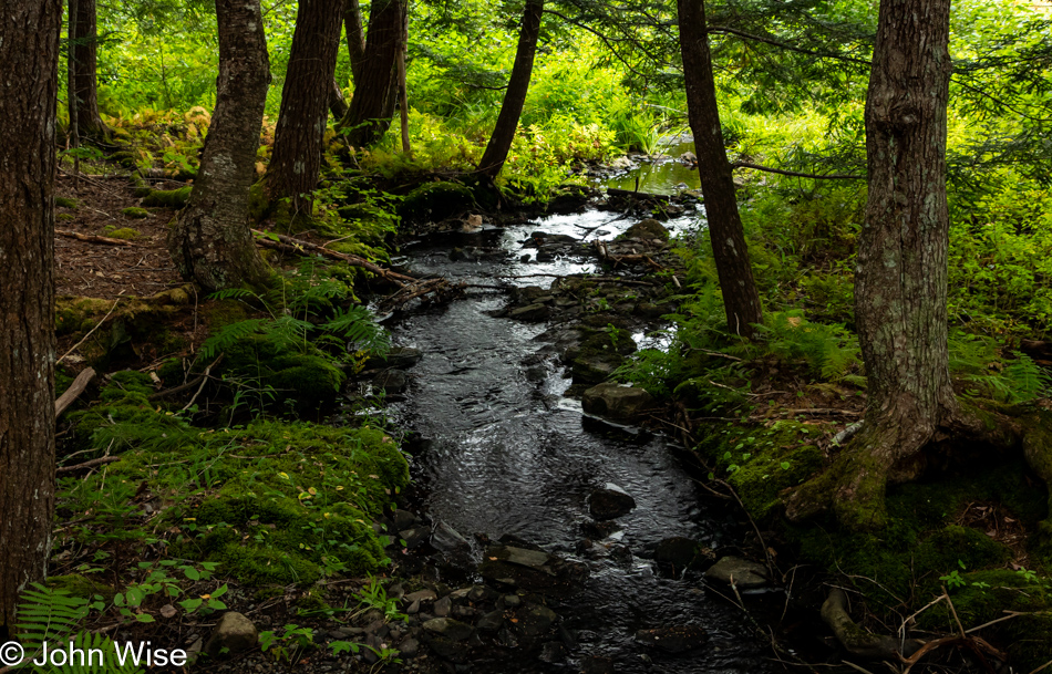 Mill Falls Trail at Kejimkujik National Park in Nova Scotia, Canada