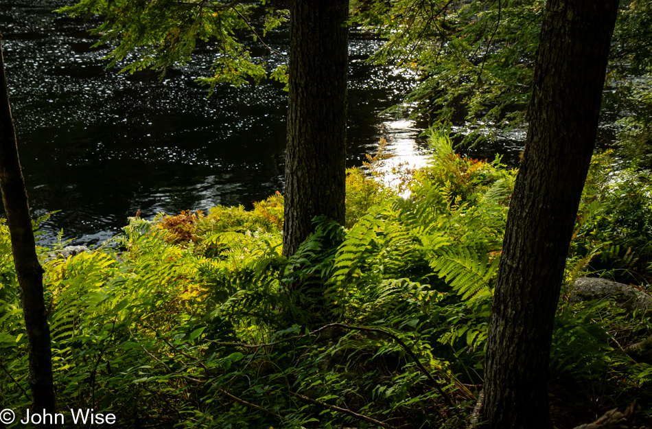 Mill Falls Trail at Kejimkujik National Park in Nova Scotia, Canada