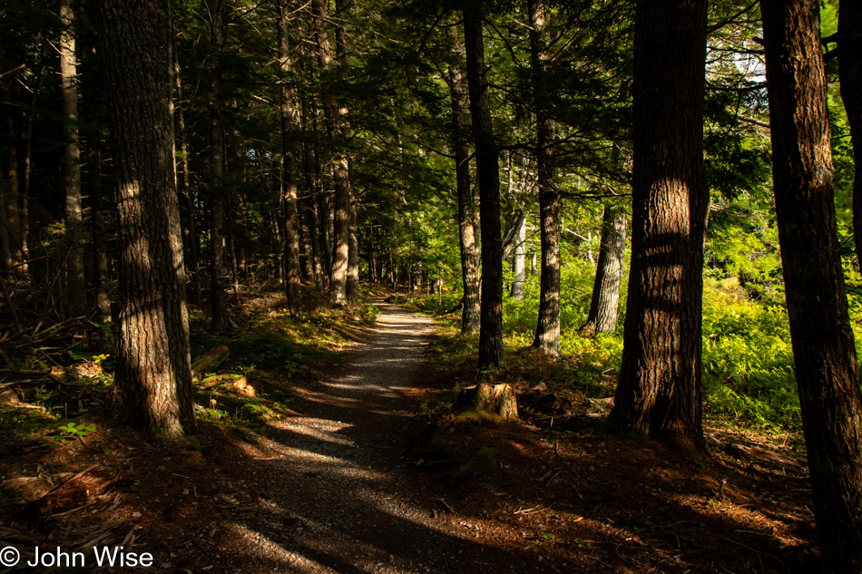 Mill Falls Trail at Kejimkujik National Park in Nova Scotia, Canada