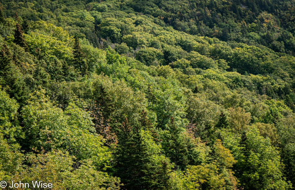 Cape Breton Highlands National Park, Nova Scotia, Canada