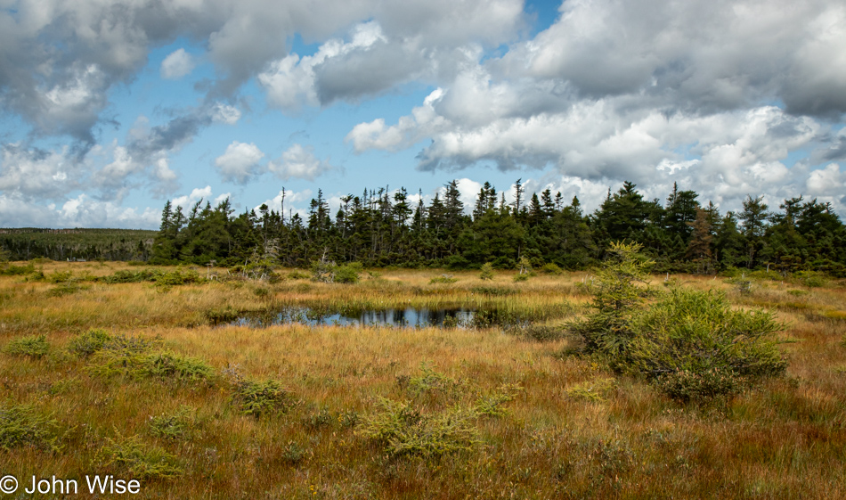 Bog Trail at Cape Breton Highlands National Park, Nova Scotia, Canada