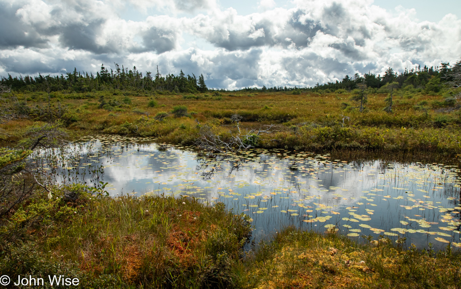 Bog Trail at Cape Breton Highlands National Park, Nova Scotia, Canada