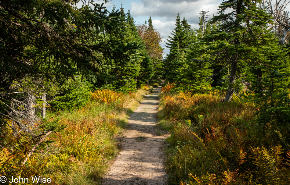 Benjie's Lake Trail at Cape Breton Highlands National Park, Nova Scotia, Canada