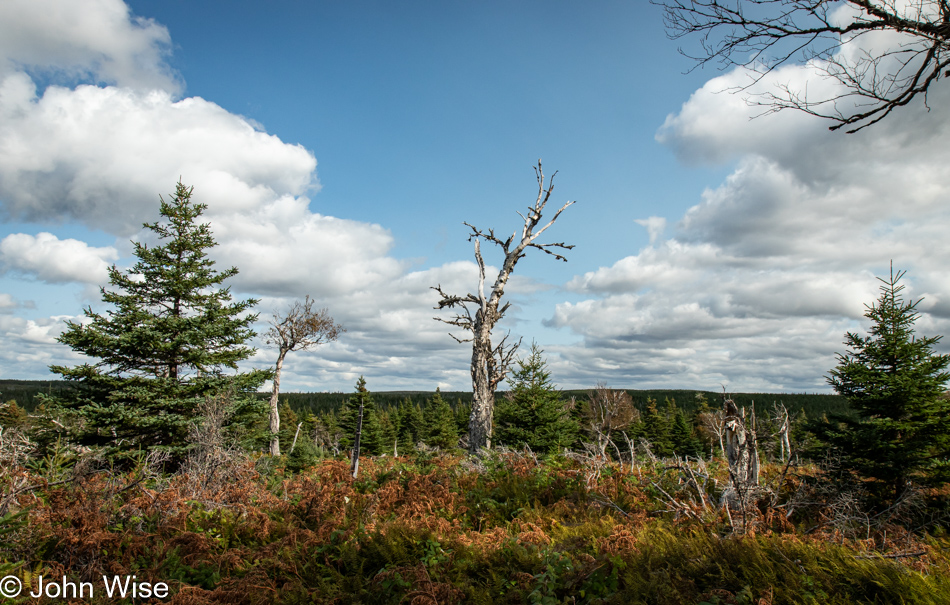 Benjie's Lake Trail at Cape Breton Highlands National Park, Nova Scotia, Canada