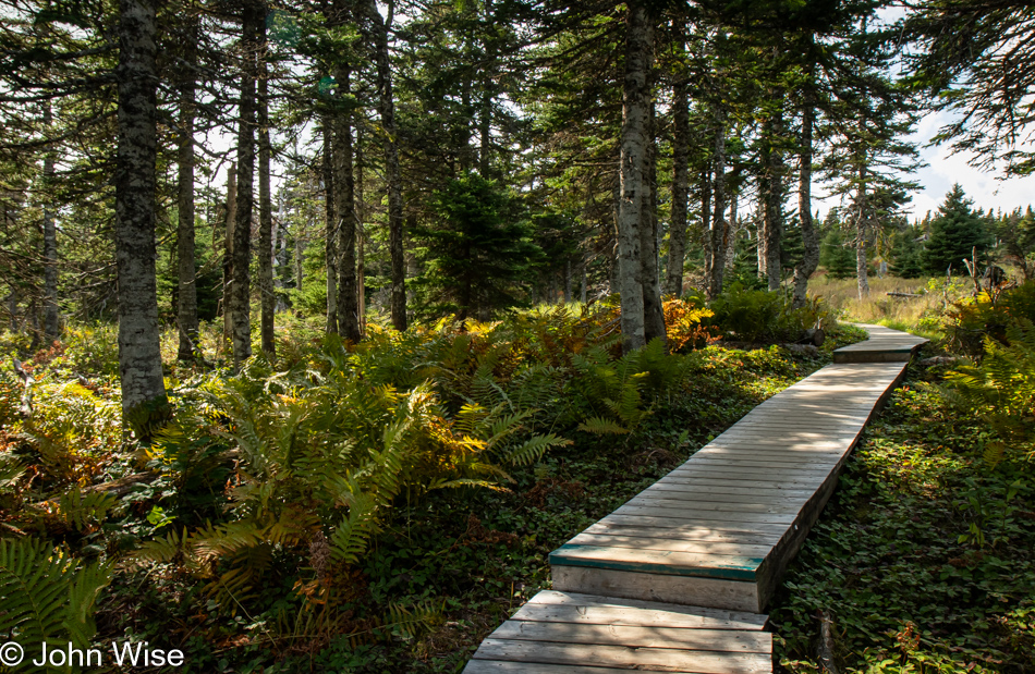 Benjie's Lake Trail at Cape Breton Highlands National Park, Nova Scotia, Canada