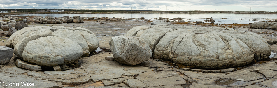 Thrombolite at Flowers Cove, Newfoundland, Canada