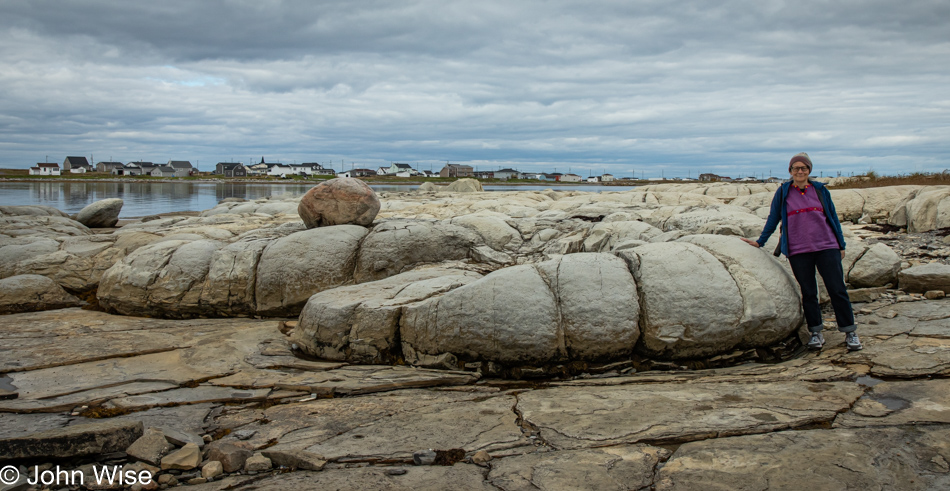 Thrombolite at Flowers Cove, Newfoundland, Canada