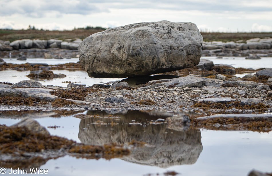 Thrombolite at Flowers Cove, Newfoundland, Canada