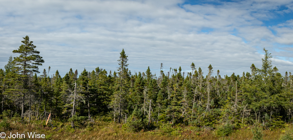 Highway 430 near Plum Point, Newfoundland, Canada