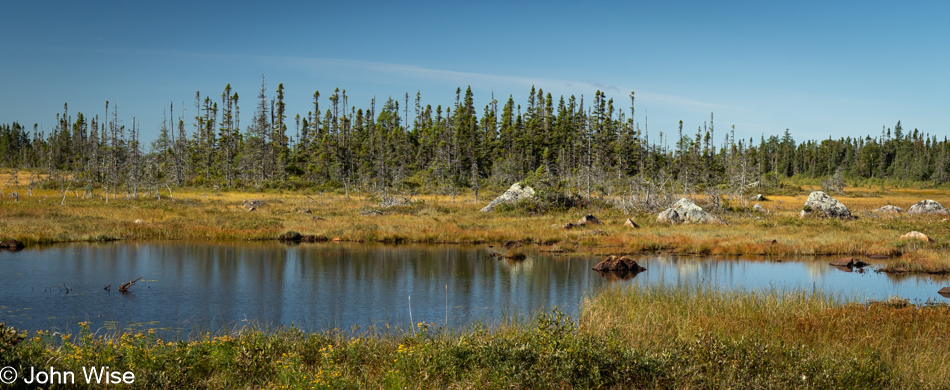 Near Rocky Brook, Newfoundland, Canada