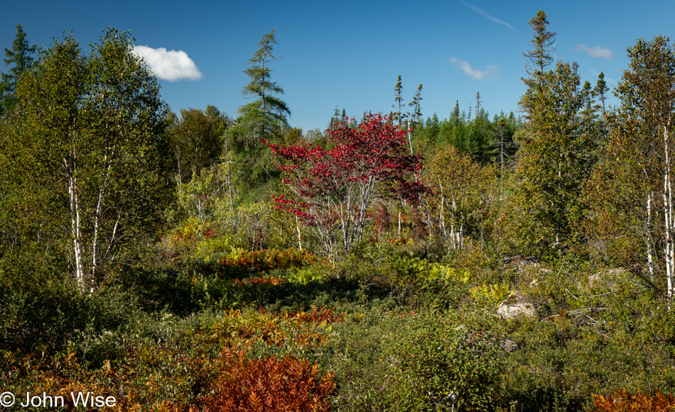 Near Rocky Brook, Newfoundland, Canada