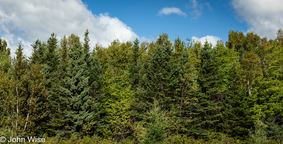 Near Rocky Brook, Newfoundland, Canada