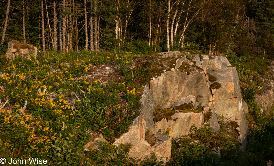 Trans Canada Highway east of Gander, Newfoundland, Canada