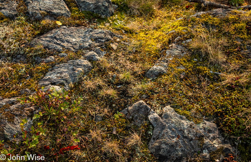 Trail on the Gambo River in Gambo, Newfoundland, Canada