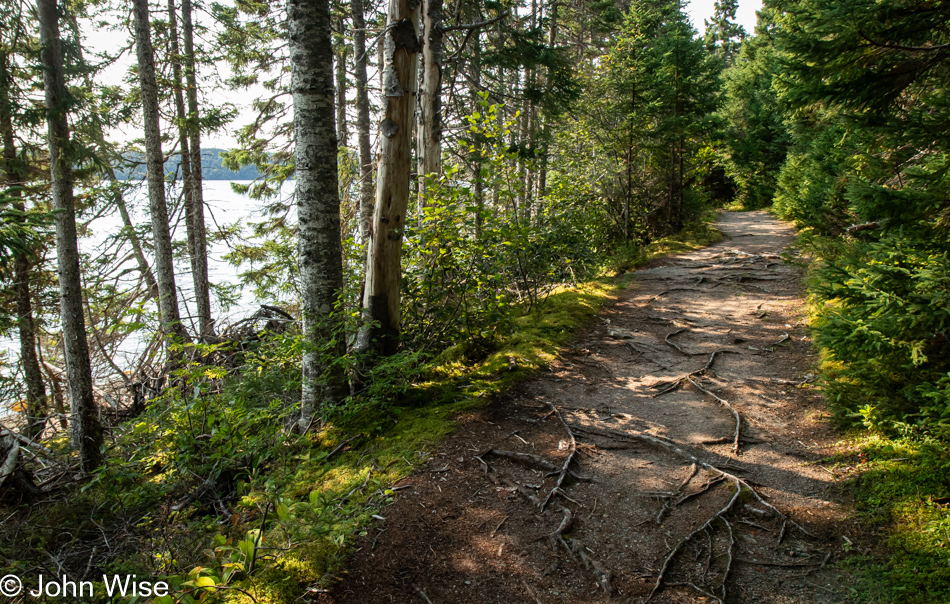 Coastal Trail near Visitor Center in Terra Nova National Park, Newfoundland, Canada