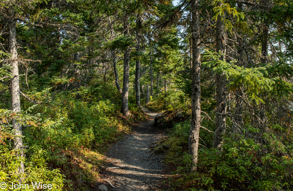 Goowiddy Path in Terra Nova National Park, Newfoundland, Canada